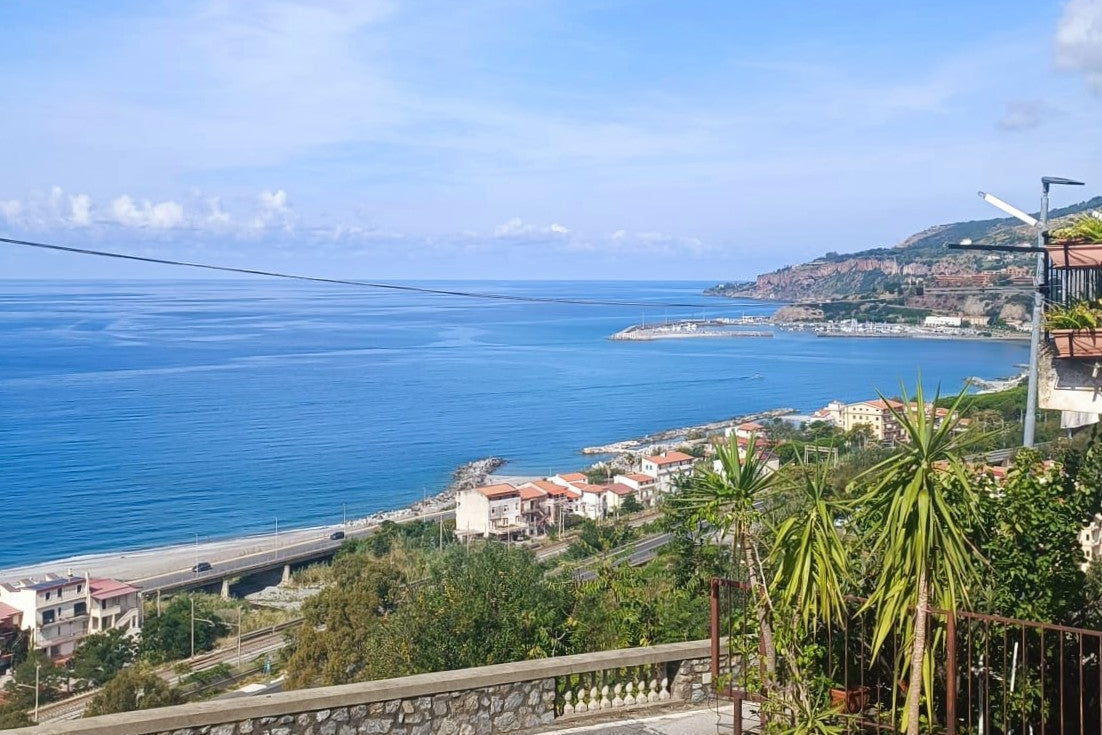 Coastal view with houses, trees, and a clear blue sky.