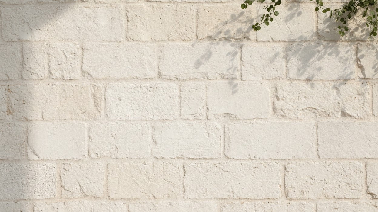 Light beige stone wall with natural texture and a plant's leaves at the top right corner.